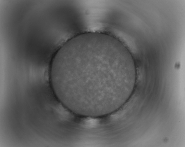 X0000102530313200808221911