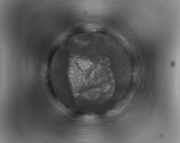 X0000102530314200808221911