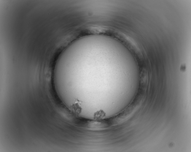 X0000102530315200808221911