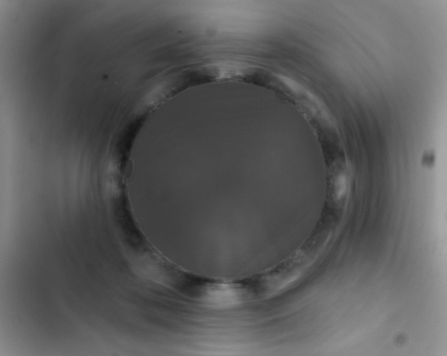 X0000102530316200808221911