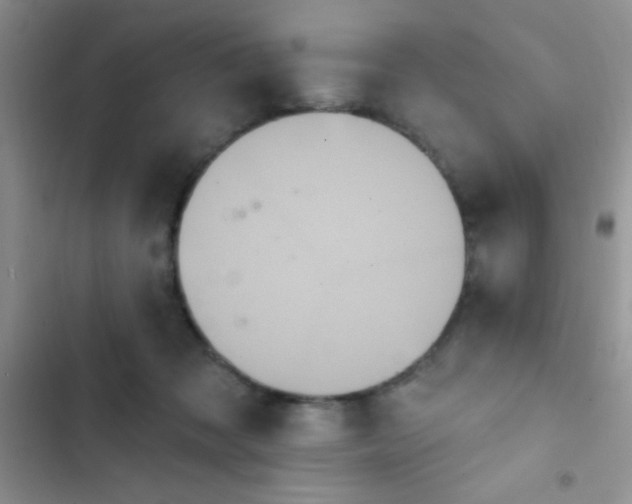 X0000102530317200808221911