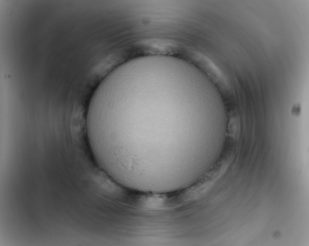 X0000102530318200808221911