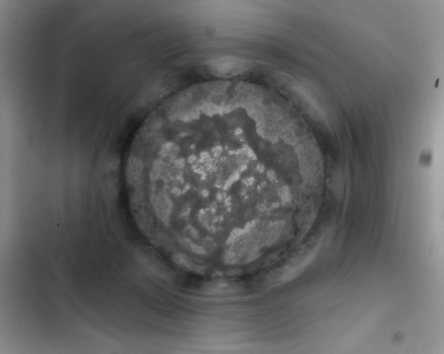 X0000102530319200808221911