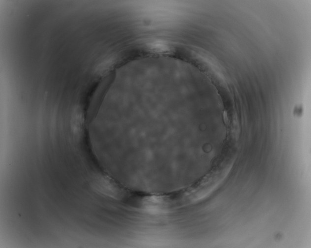 X0000102530320200808221911