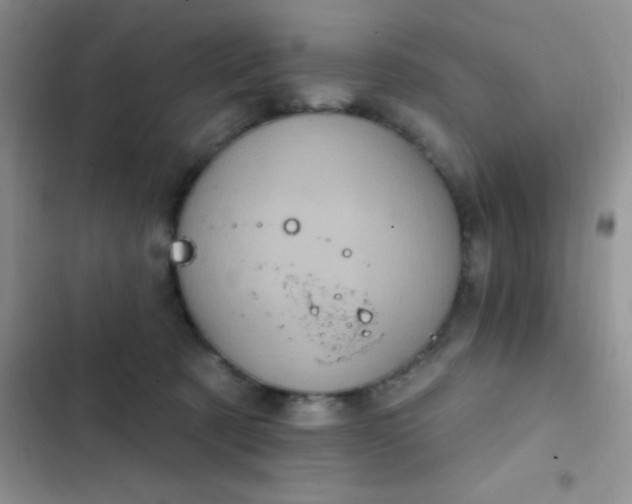 X0000102530321200808221911