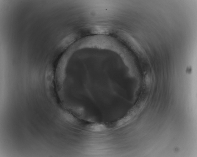 X0000102530322200808221911