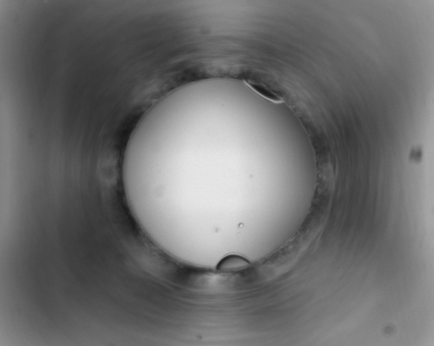 X0000102530323200808221911