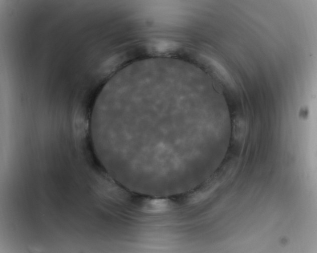 X0000102530324200808221911