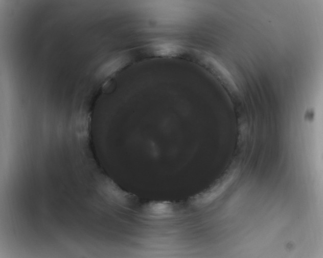 X0000102530325200808221911