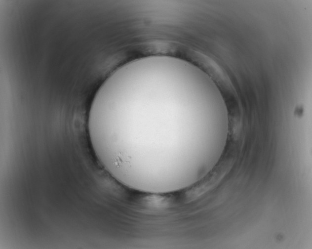 X0000102530326200808221911