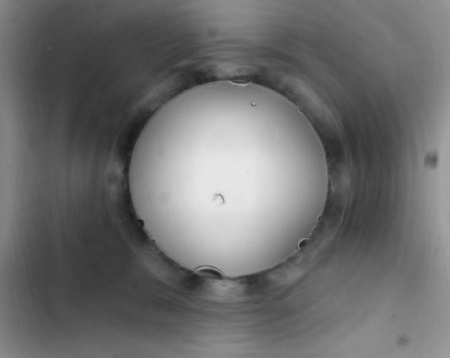 X0000102530327200808221911