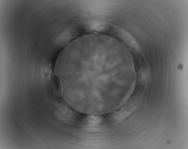 X0000102530328200808221911