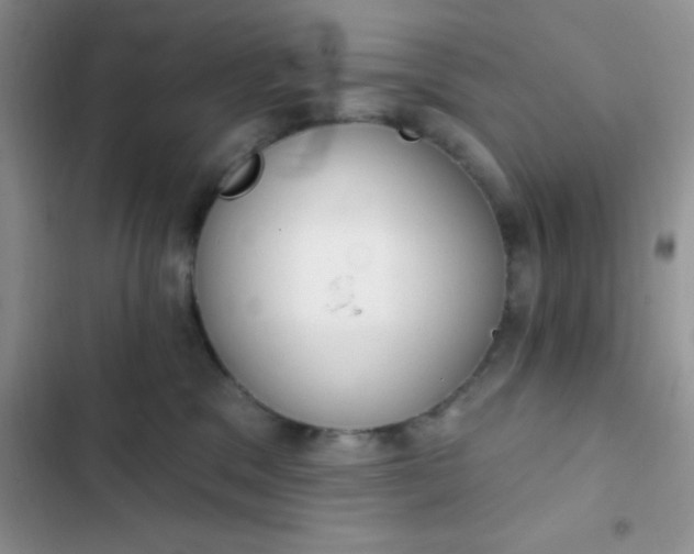 X0000102530329200808221911