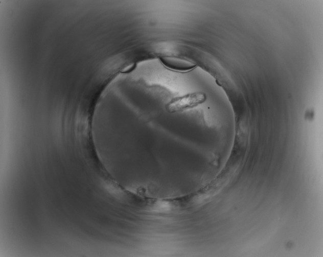 X0000102530330200808221911