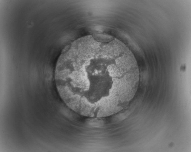 X0000102530331200808221911