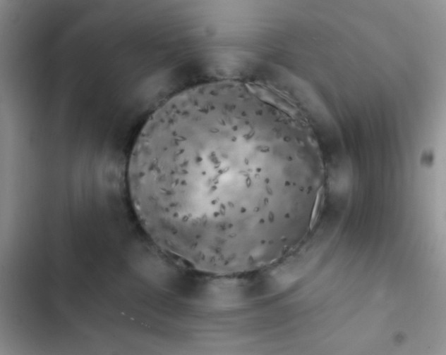 X0000102530332200808221911