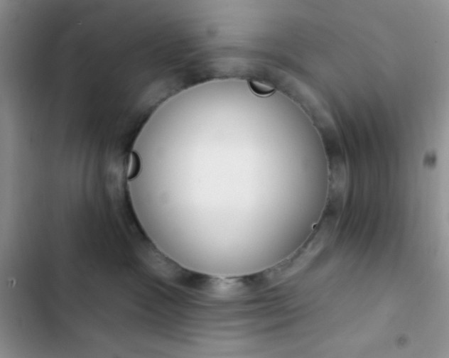 X0000102530333200808221911