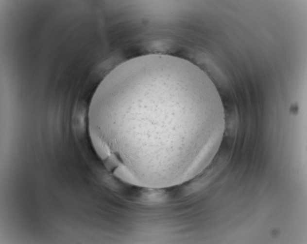 X0000102530334200808221911