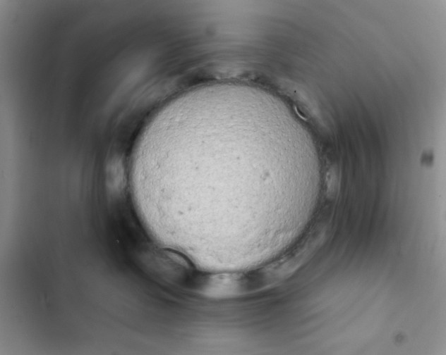 X0000102530335200808221911