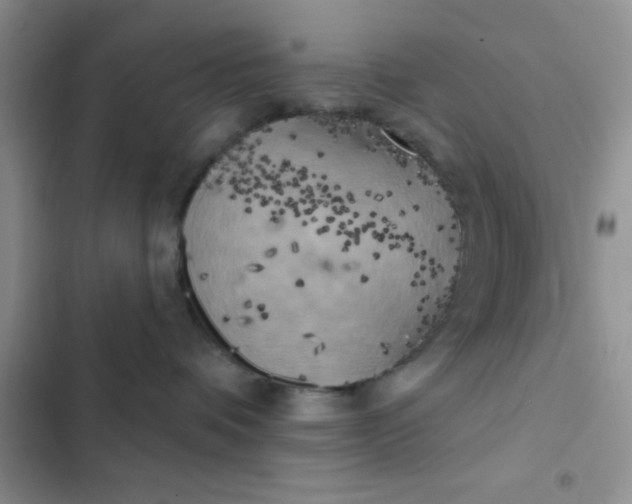 X0000102530336200808221911