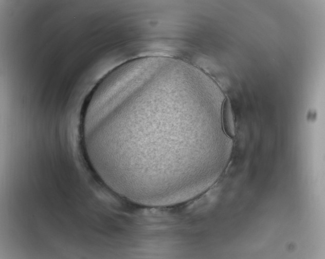 X0000102530338200808221910