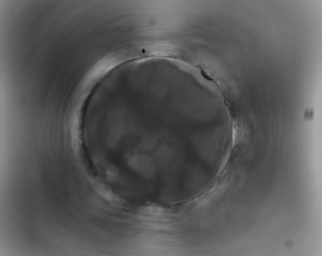 X0000102530339200808221910