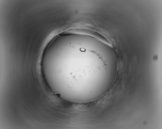 X0000102530340200808221910