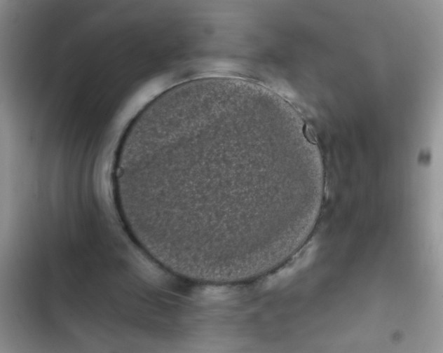 X0000102530341200808221910