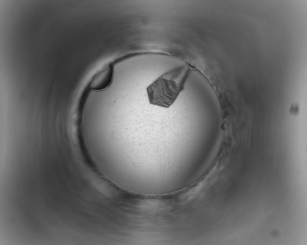 X0000102530342200808221910