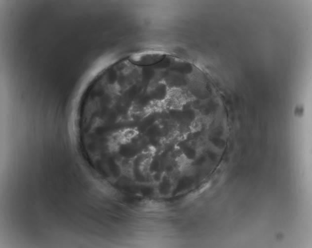 X0000102530343200808221910