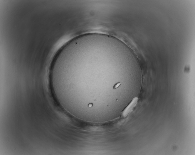 X0000102530344200808221910