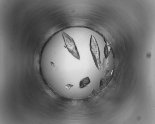 X0000102530345200808221910