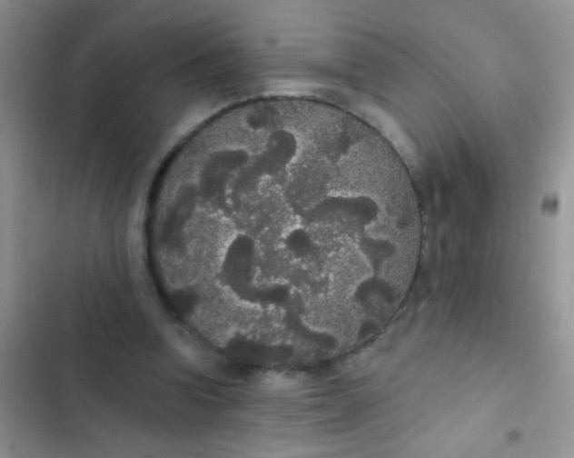 X0000102530346200808221910