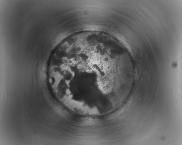 X0000102530347200808221910