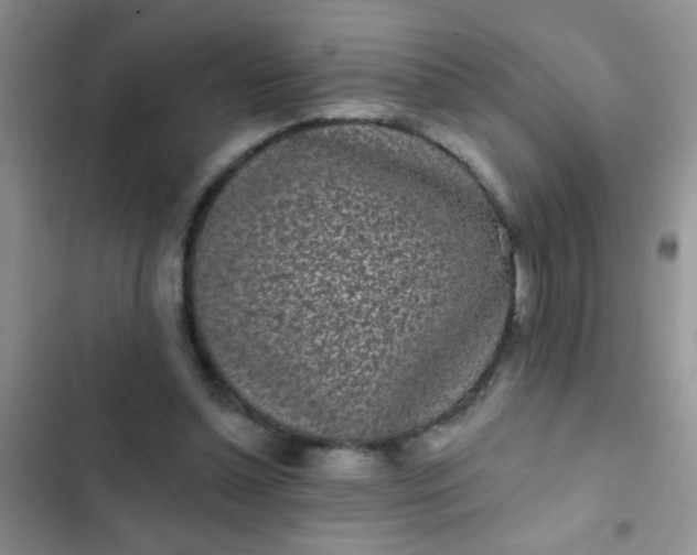 X0000102530348200808221910