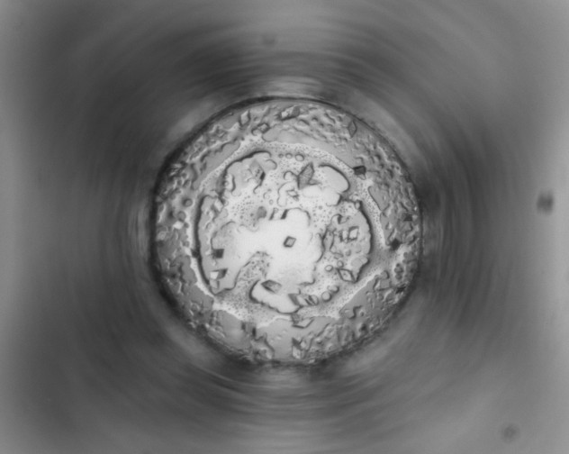 X0000102530349200808221910