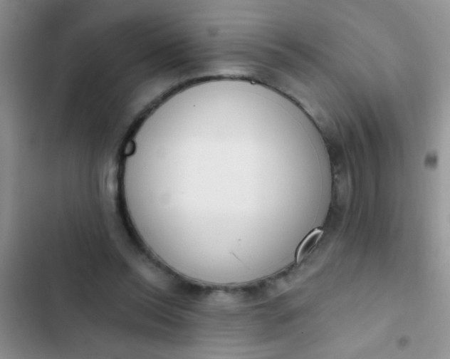 X0000102530350200808221910