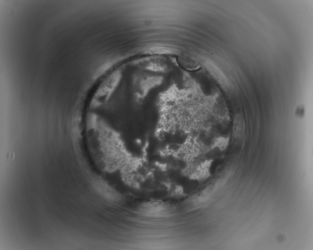 X0000102530351200808221910