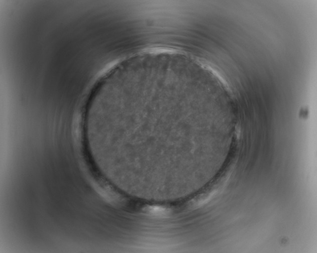 X0000102530352200808221910