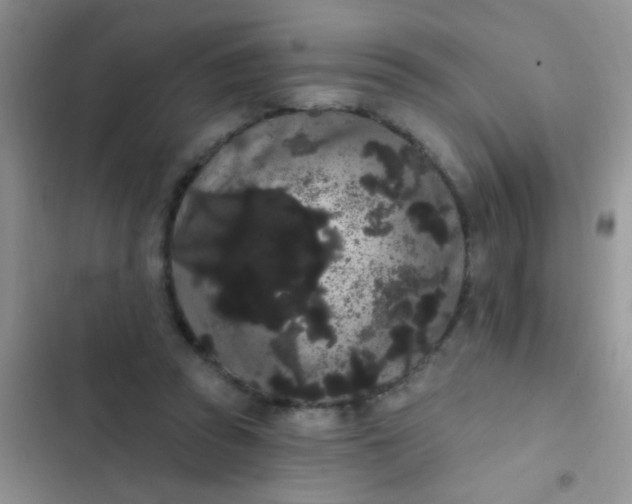 X0000102530353200808221910