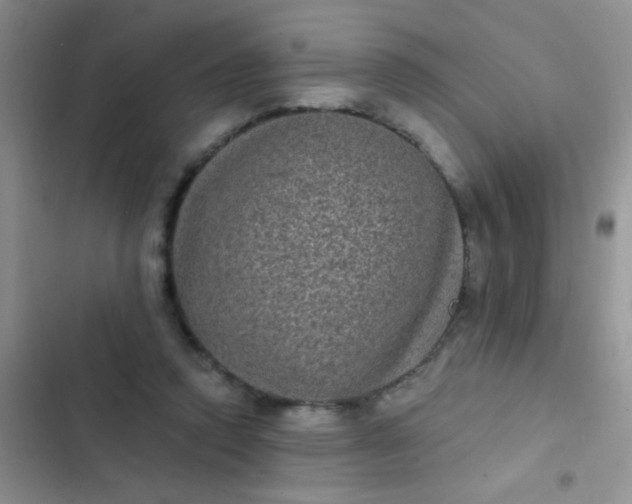 X0000102530354200808221910