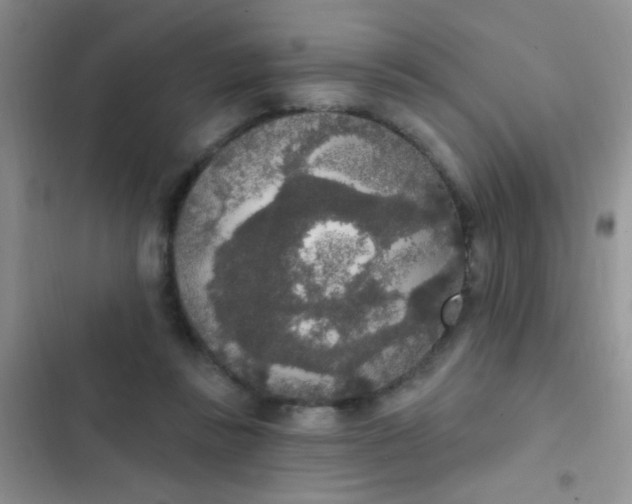 X0000102530355200808221910