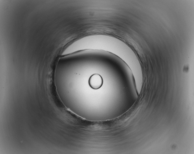 X0000102530356200808221910