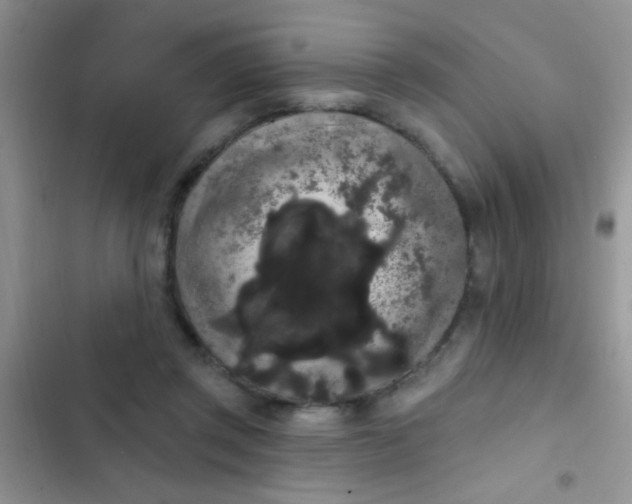 X0000102530357200808221910