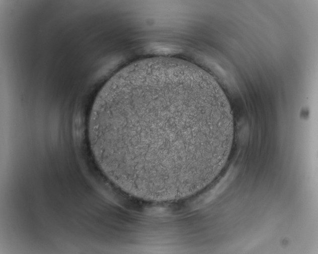 X0000102530358200808221910