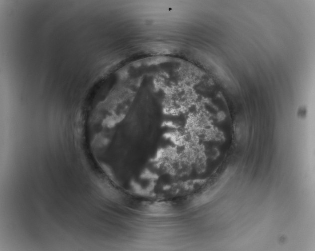 X0000102530359200808221910