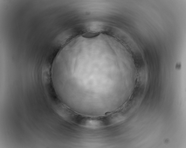 X0000102530360200808221910