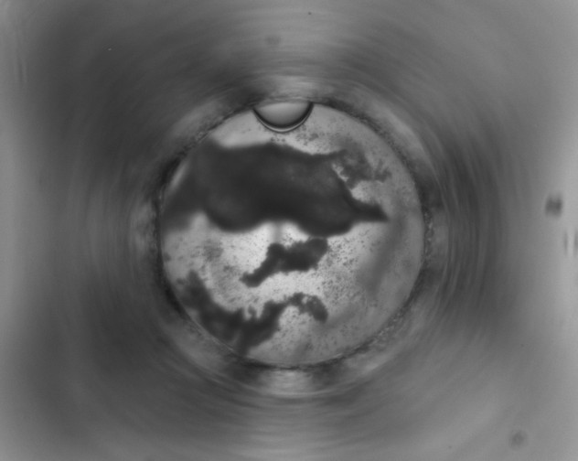 X0000102530361200808221910