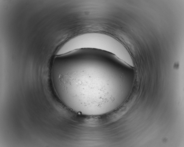 X0000102530362200808221910