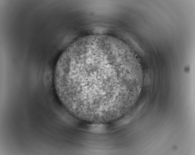 X0000102530363200808221910